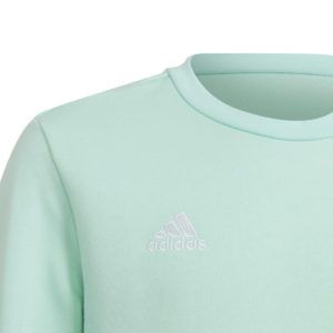 Adidas entrada sweat top HC5042 clear mint - Image 3