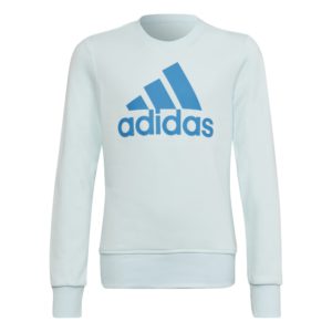Adidas essential sweatshirt παιδικό φούτερ HM8707 ciel - Image 1